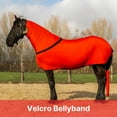 thumbnail image 3 of Premium Horse Full Body Slinky - Full Zipper & Faceless - Lycra Material - Available in 11 Colors, 3 of 7
