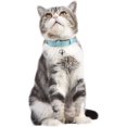 thumbnail image 2 of Cute Pet Cat Collar 2-Pack Kitty Collars Puppy Dog Collars, Genuine Leather Adjustable Length Easy to Clean Durable and Safe, Bell and Hole Puncher Inclusive, Pink and Blue, 2 of 7