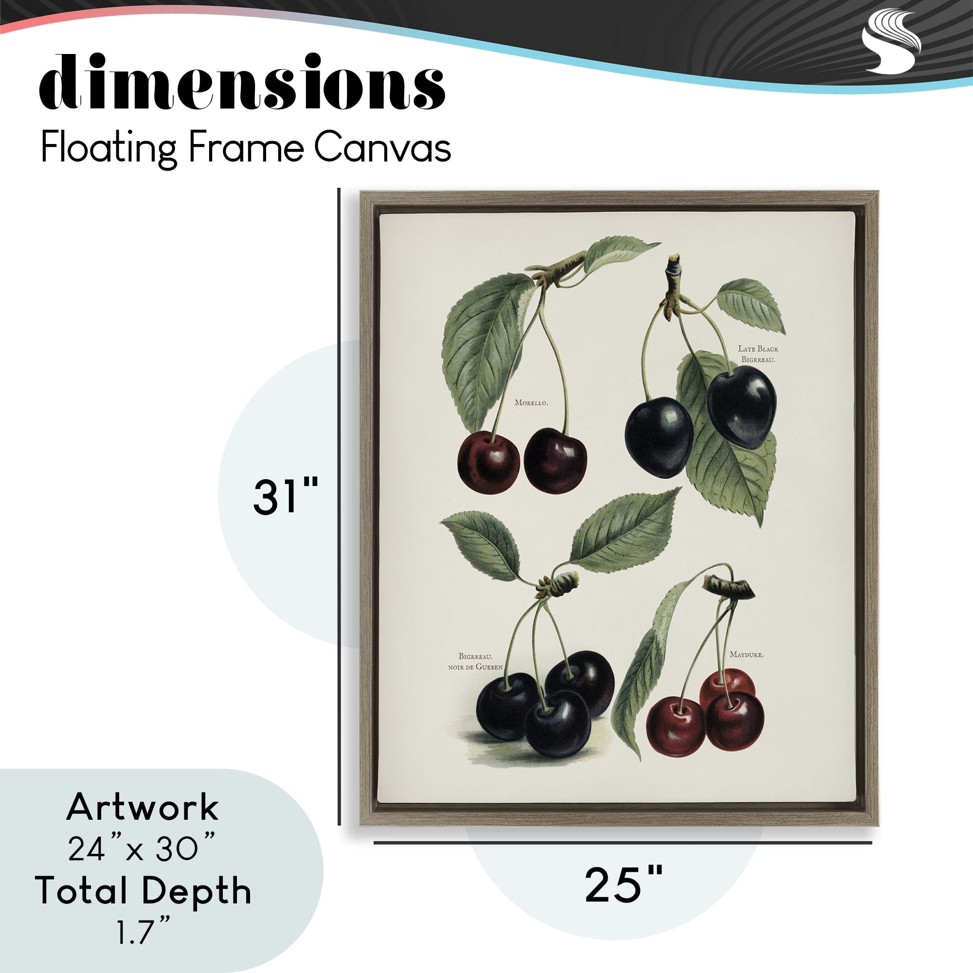 Natural Detailed Cherry Studies Brown Framed Floater Canvas Wall Art, design by Lettered and Lined
