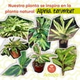 thumbnail image 4 of Planta artificial moderna con maceta decorativa Real Style Alpinia zerumbet 140cm Artego hogar sala comercio oficina, 4 of 9