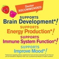 thumbnail image 6 of WellYeah Vitamin B12 Gummies for Kids - Boost Energy, Improve Brain Function, and Strengthen Immune System - Non-GMO, Gluten-Free - Great Tasting Berry Flavor - Easy to Chew - 60 Gummies, 6 of 7