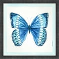 thumbnail image 1 of Great Art Now Butterfly II by Cindy Shamp, Framed Wall Art, 17.5W x 17.5H, 1 of 3