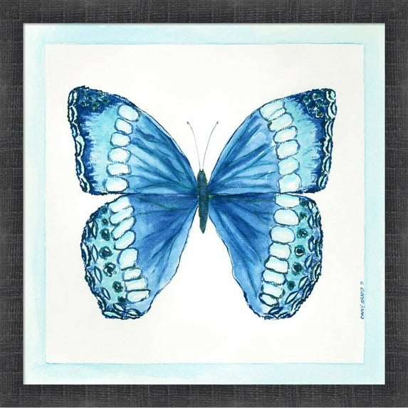 Great Art Now Butterfly II by Cindy Shamp, Framed Wall Art, 17.5W x 17.5H