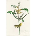 thumbnail image 2 of Audubon, John James 13x18 Gold Ornate Wood Framed with Double Matting Museum Art Print Titled - Childrens Warbler, 2 of 4