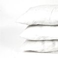 thumbnail image 1 of 300 g White Pillow Insert, 1 of 1
