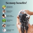 thumbnail image 3 of Maple Holistics Biotin Shampoo & Conditioner Set, Sulfate Free Hair Care Duo, 2 Pack, 3 of 9