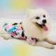thumbnail image 4 of 2 uds. Chaleco para perro de estilo estampado de verano, ropa para mascotas de estilo fino, ropa para perros pequeños de leche, cachorros de peluche Bichon de verano, 4 of 5
