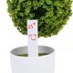 thumbnail image 2 of 100 etiquetas de plástico para plantas de jardín, etiquetas de estaca para guardería, herramientas para el de las plantas, verde Blanco Sunnimix Etiquetas de plástico para plantas, 2 of 8