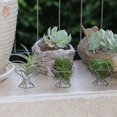 thumbnail image 4 of Paquete de 5 soportes para plantas, soportes para plantas, soporte para plantas purificadoras de Tillandsias, soporte para helechos, color plateado, 4 of 5
