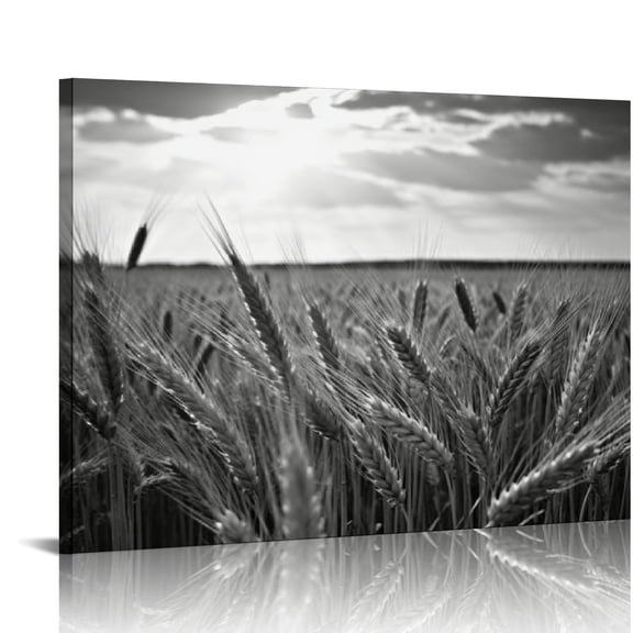 COMIO  Canvas Wall Art for Kitchens Black and White Wheat Field Picture Wall Decor Texas Countryside Landscape Painting Modern Home Farmhouse Decoration