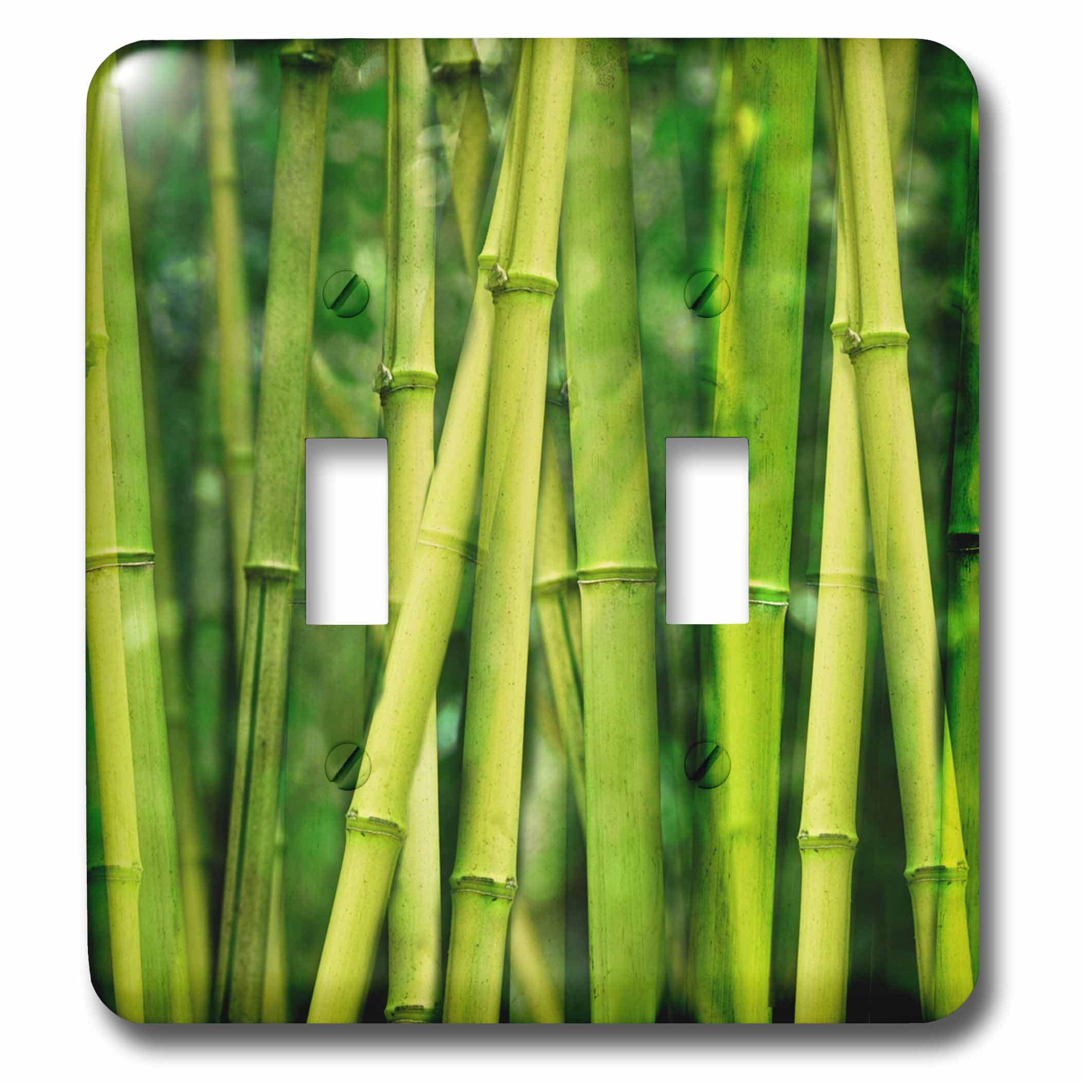 3dRose Green bamboo sticks close up Double Toggle Switch (lsp_266544