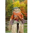 thumbnail image 2 of Zuckerman, Jim 17x24 White Modern Wood Framed Museum Art Print Titled - USA, Tennessee, Townsend Halloween scarecrow, 2 of 4