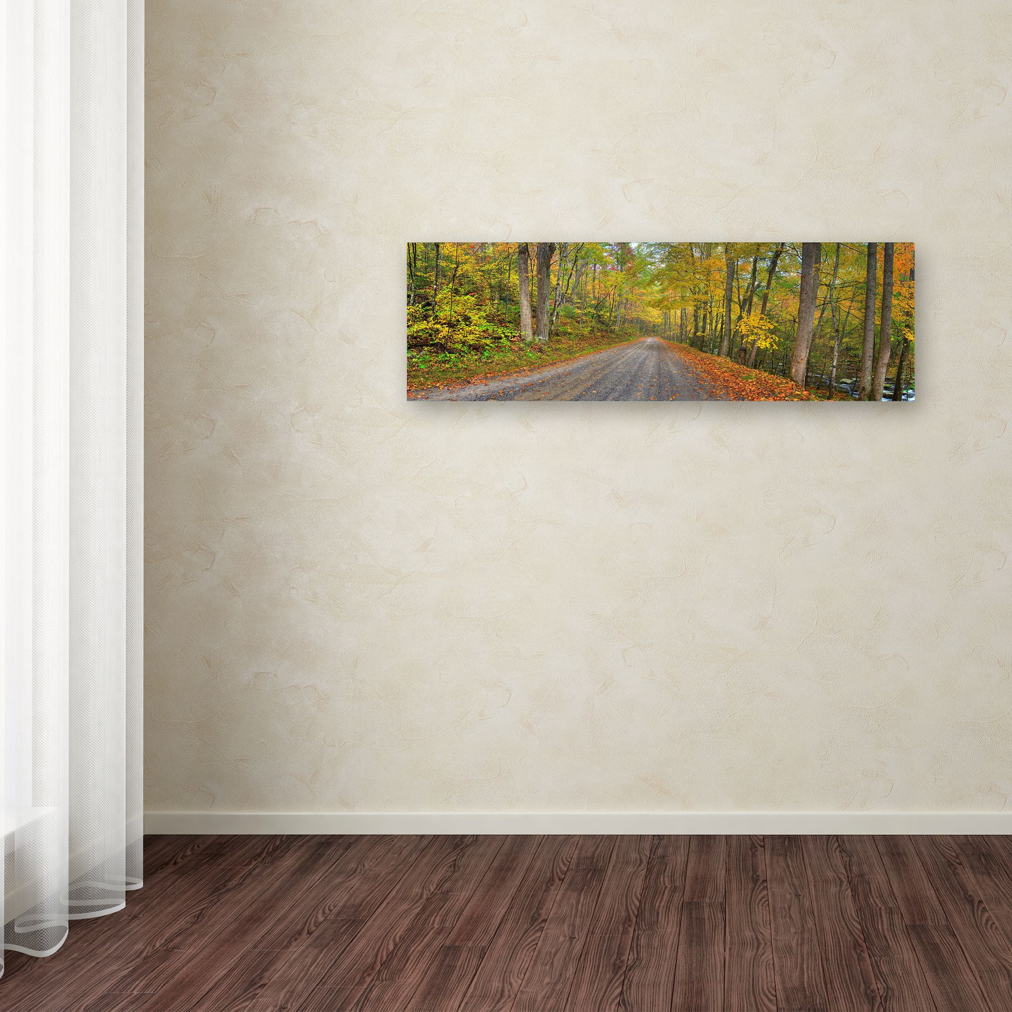 Trademark Fine Art 'Urban Bypass' Canvas Art by Doug Cavanah