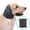 Gray, variant on Easy Joy No Flap Ear Wrap for Dogs & Cats Ear Muffs for Anxiety Relief Hematoma Noise Canceling Bathing Drying Gray L