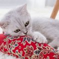 thumbnail image 5 of Pet Playing Toy Fish Shape Interactive Catnip Toy Cat Toy Pet Chewing Toy, 5 of 5