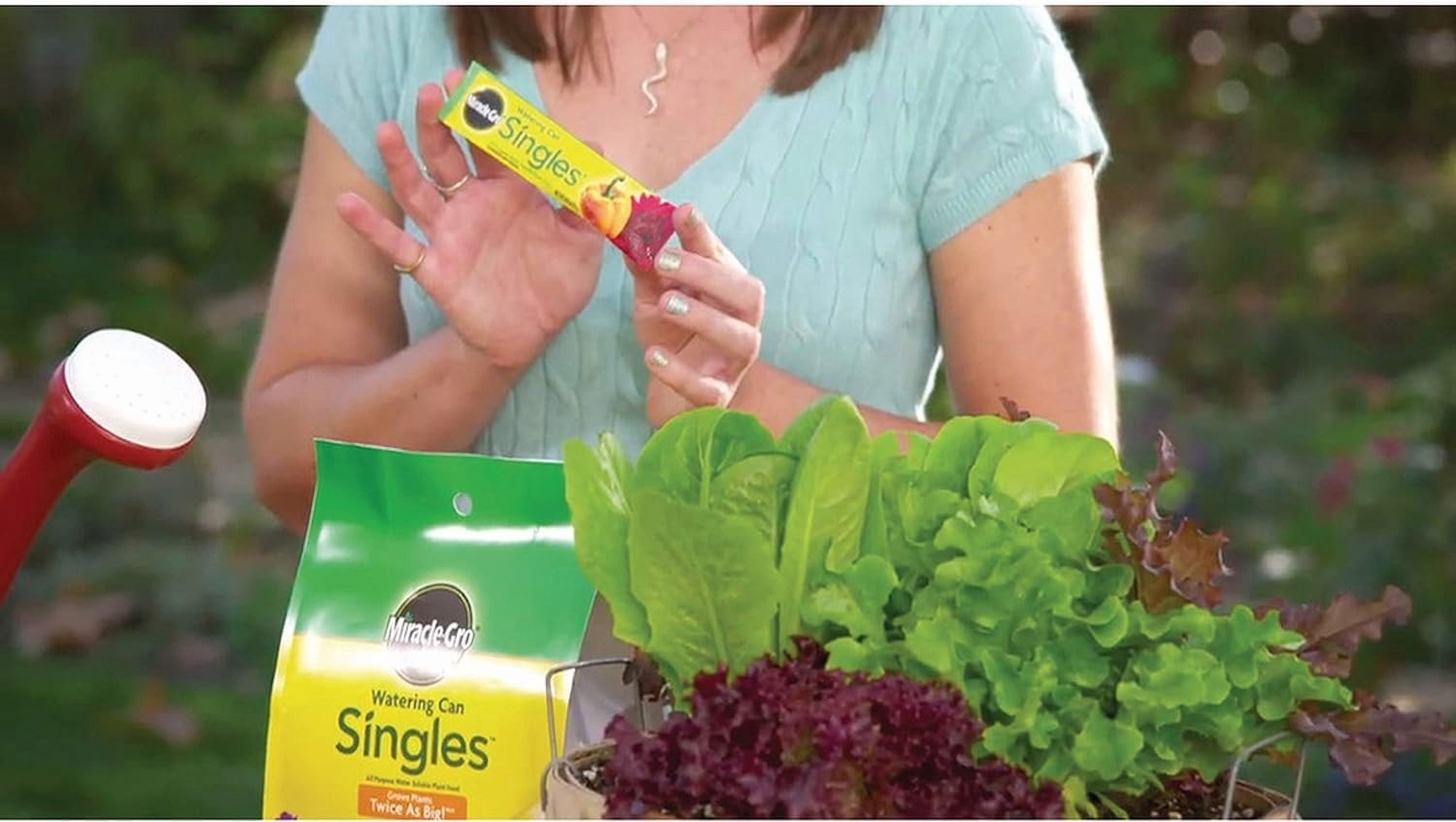 2-pack Miracle-Gro Watering Can Singles All Purpose Plant Food - Water Soluble - 2 Pack, 48 Packets — Outdoor & Indoor Plant Use, Easy Application