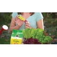 thumbnail image 5 of 2-pack Miracle-Gro Watering Can Singles All Purpose Plant Food - Water Soluble - 2 Pack, 48 Packets — Outdoor & Indoor Plant Use, Easy Application, 5 of 8