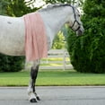 thumbnail image 4 of AWST Int'l Lila Linear Horses Pashmina Scarf, 4 of 5