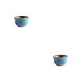 thumbnail image 1 of Yuarrent Ceramics With Raised Drainage For Succulents Breathable Crafts Bonsai With For Indoor And Decor Bonsai Crafts Style GRAMO 2piezas, 1 of 6