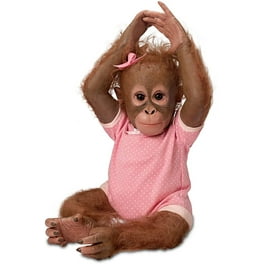 Cindy sales monkeys on sale