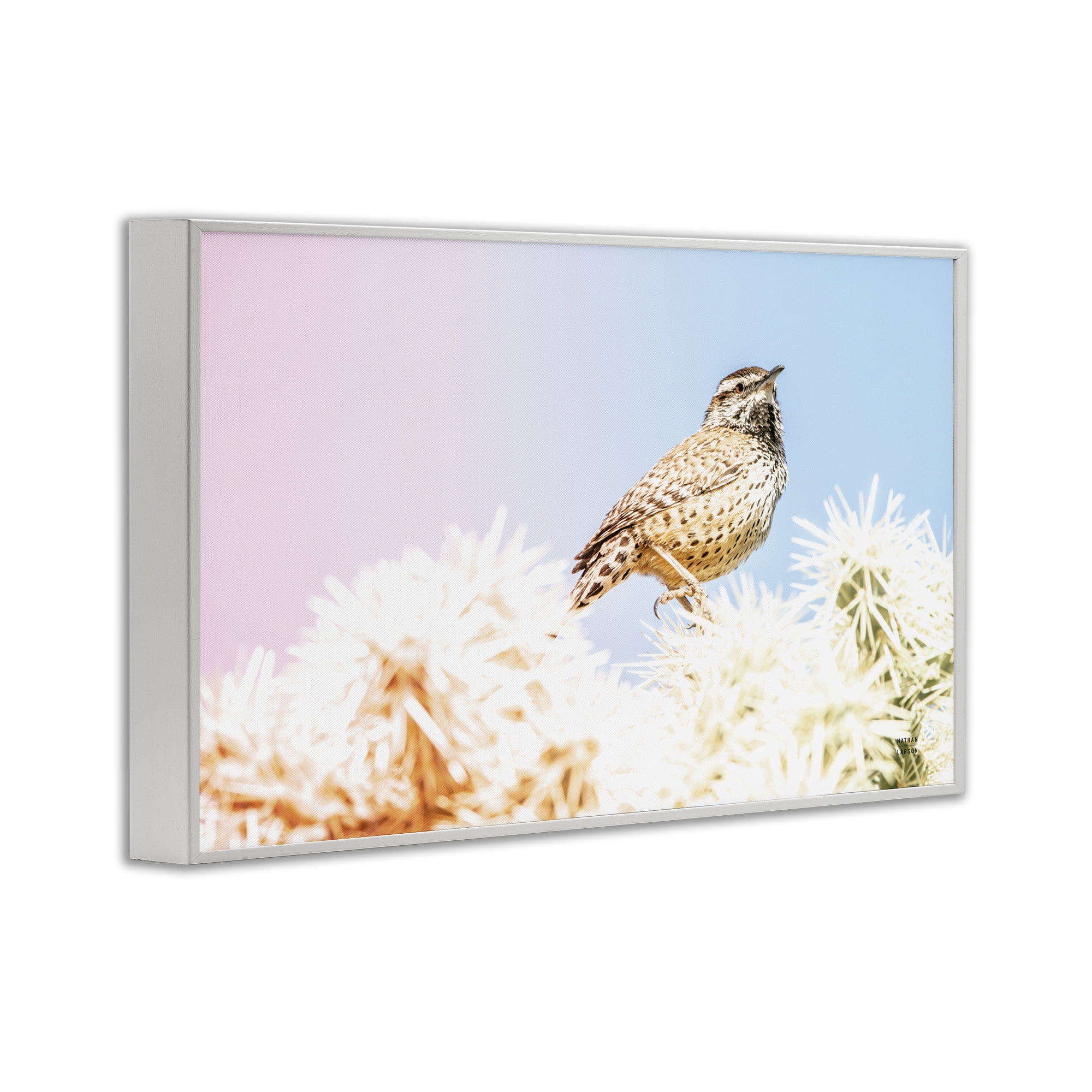 Stupell Industries Desert Song Bird White Framed Giclee Art, design by Nathan Larson