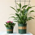 thumbnail image 3 of Brackets Bamboo Trellis Plant Growth Frame Iron Durable Indoor And Outdoor For Climbing Plants Frame, 3 of 16