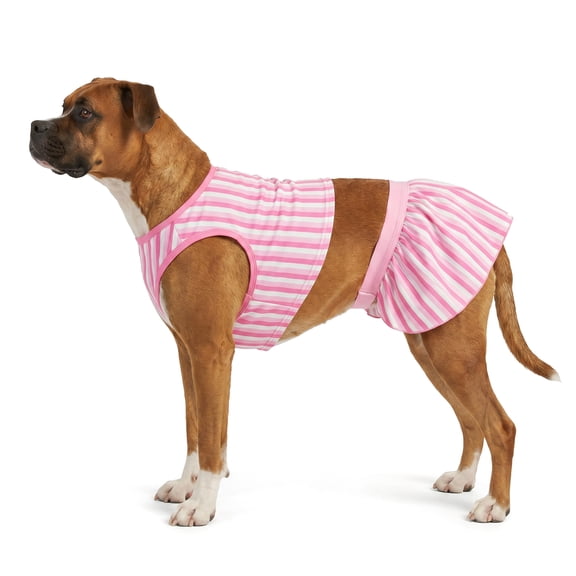 Vibrant Life Striped Dog Bikini, Pink and White, S
