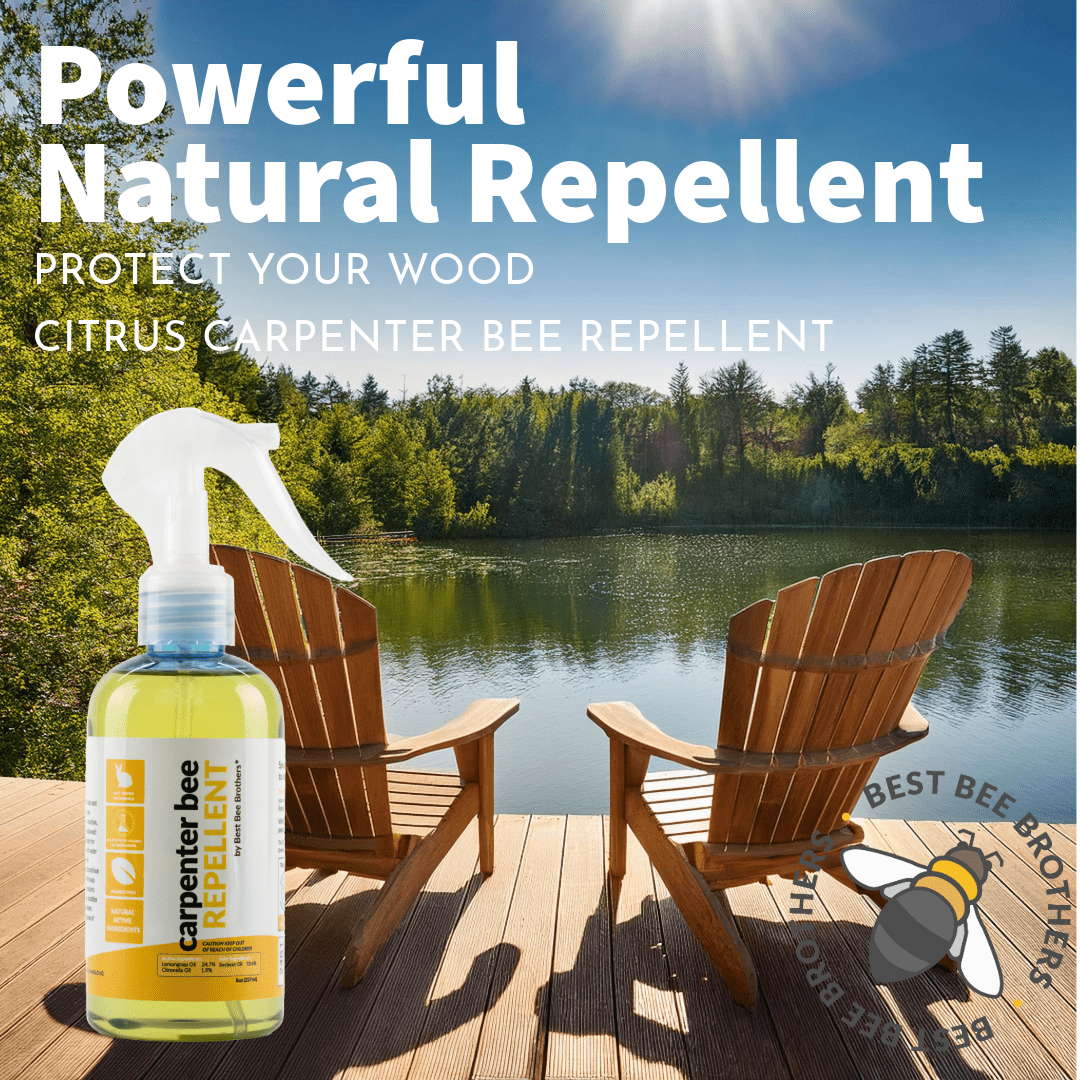 Best Bee Brothers Citrus Carpenter Bee Repellent Spray, Effective Long-Lasting Citrus Spray Made with Essential Oils, 8 Oz. (4 Pack)