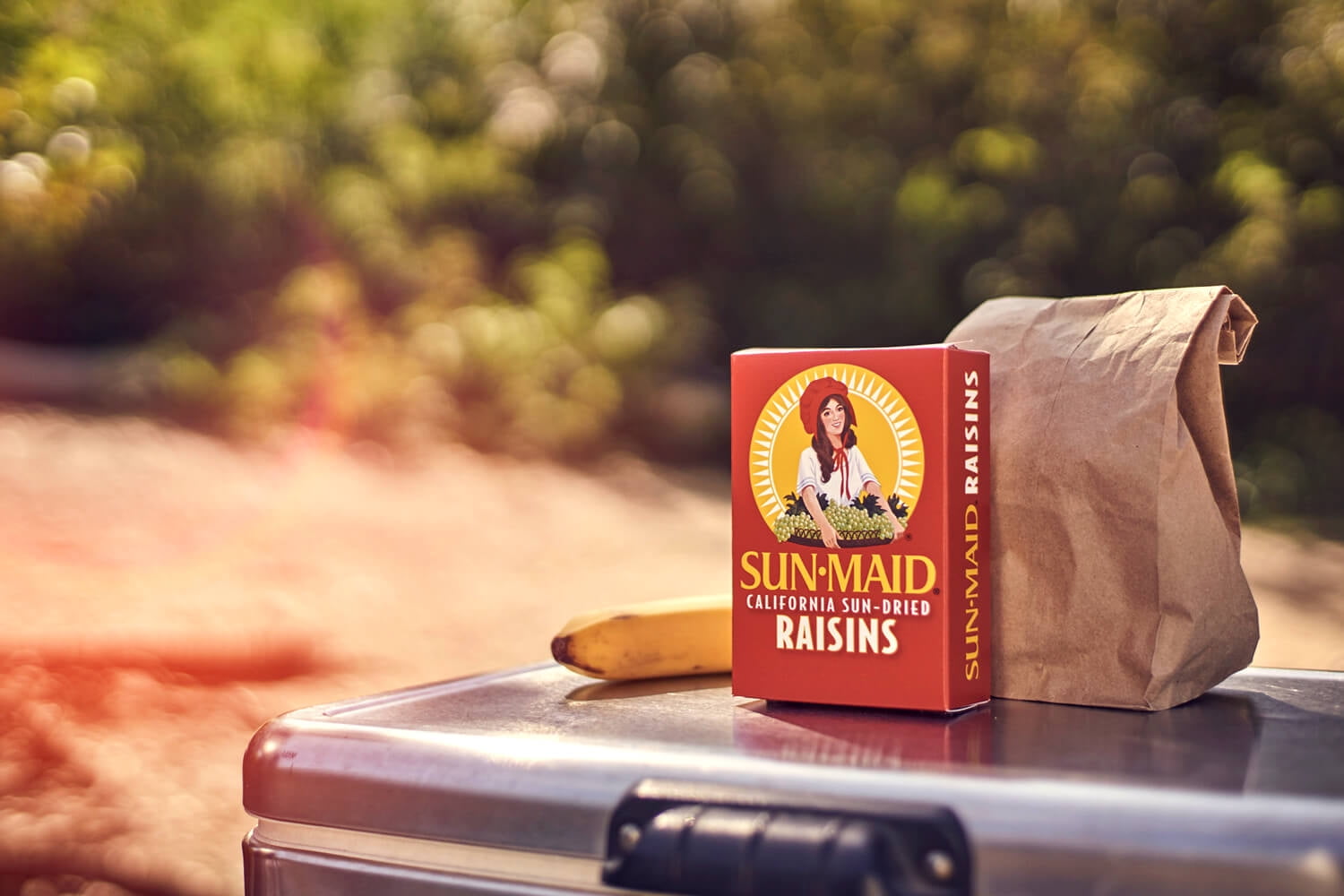 Sunmaid Mini Snackpack Raisins 196g - Walmart.ca