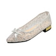 thumbnail image 2 of Samdudou Flats for Women Closed Toe Pointed Front Low Block Heel Slip On Shoes Romantic Sheer Mesh Lace Bowknot Detail Dressy Footwear for Wedding Evening Party, 2 of 4