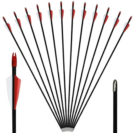 Runzkzy 29inch Fiberglass 6/12 PCS Archery and Hunting Arrows Combined with Recurve Bows and Arrows