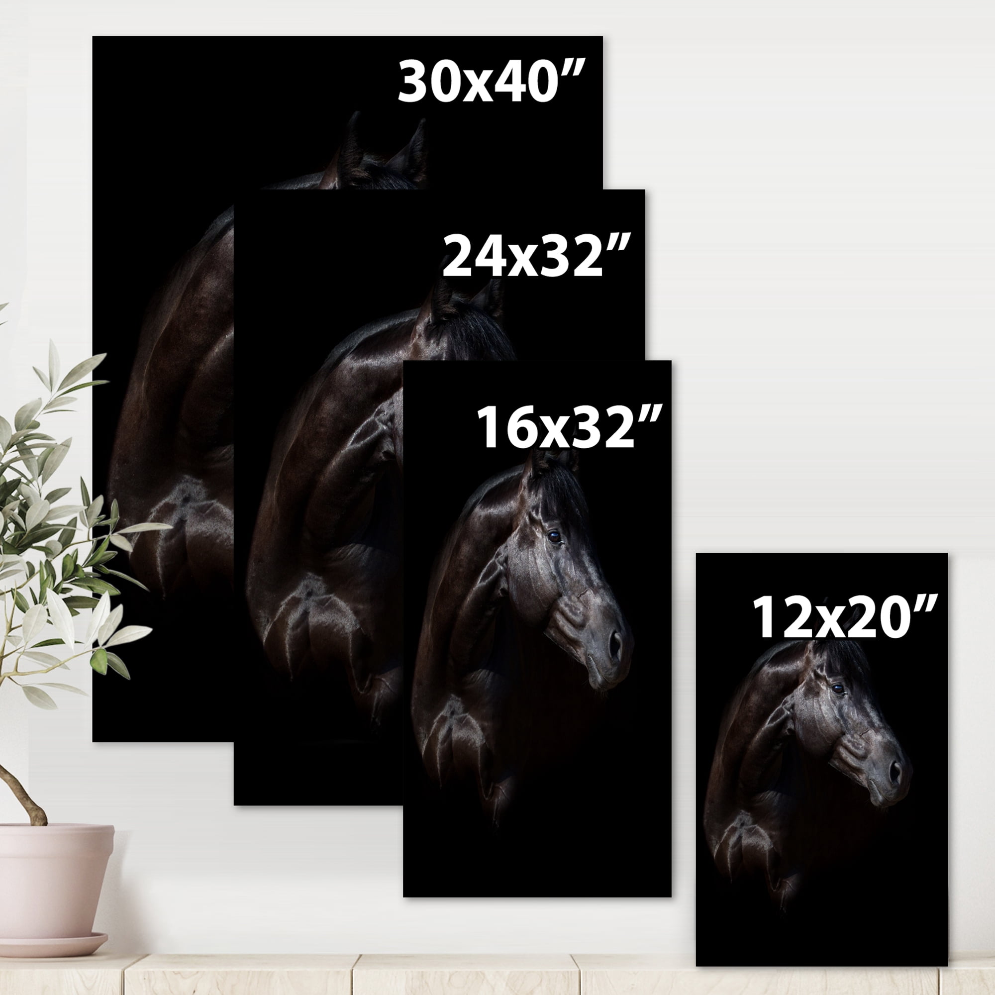 Designart ' Silhouette Of Horse and Woman ' Farmhouse Canvas Wall Art Print