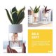thumbnail image 4 of Water Planter Hydroponic Flowerpots for Decor 6Pcs Transparent Plastic, 4 of 4
