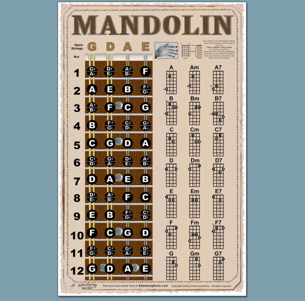 Mandolin Easy Chord & Fretboard Instructional Chart Poster – 11x17, Beginner Chords