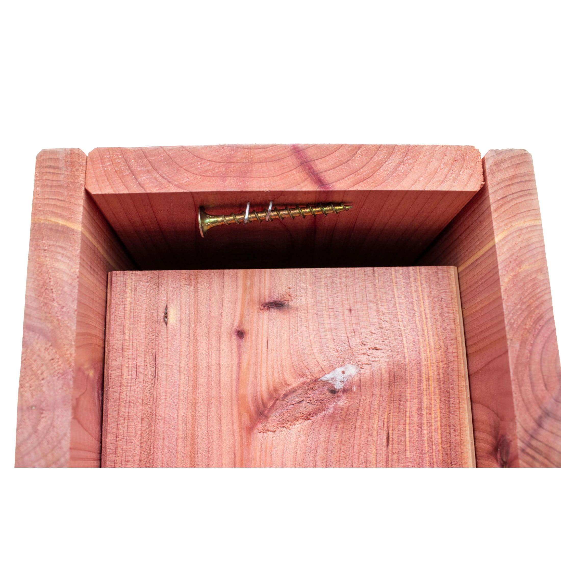 Pennington Cedar Bluebird House With Predator Guard