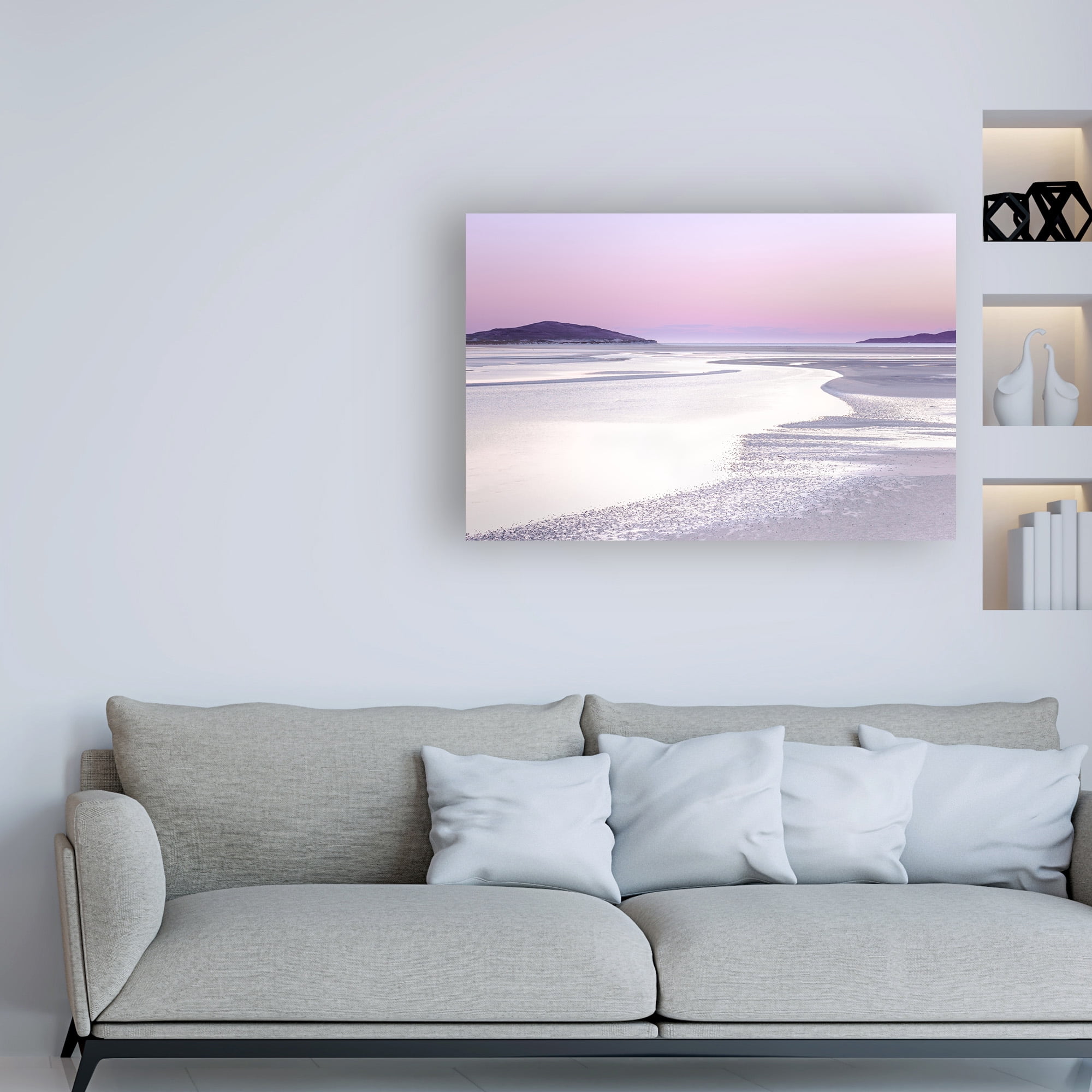 Trademark Fine Art 'Silver Silence' Canvas Art by Lynne Dougla