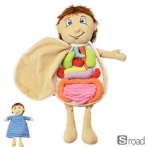 Human Body Anatomy Plush Toy – Soft Educational Doll With Removable Organs, Medical Learning Toy For Kids (Heart, Lungs, Stomach) – Preschool Science Classroom Aid