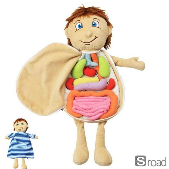 Human Body Anatomy Plush Toy – Soft Educational Doll With Removable Organs, Medical Learning Toy For Kids (Heart, Lungs, Stomach) – Preschool Science Classroom Aid​