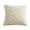 R, variant on Ramiter Plush Throw Pillow Cover Cushion Cover For Sofa Bedroom Hall 14x19 Toddler Pillowcase