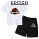 thumbnail image 2 of Camiseta con estampado de dinosaurio de Jurassic Park, trajes de verano para niños, camisetas de manga corta y pantalones cortos con estampado de dibujos animados, 2 of 5