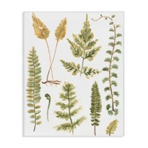 Stupell Industries Varied Fern Leaves Botanical & Floral Painting Gallery Wrapped Canvas Art Print Wall Art, 24 x 30