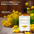 thumbnail image 2 of Majestic Pure Helichrysum Essential Oil 1 fl oz, 100% Pure and Natural Aromatherapy Oil with Glass Dropper for Diffusers, Soap and Candle Making, 2 of 8