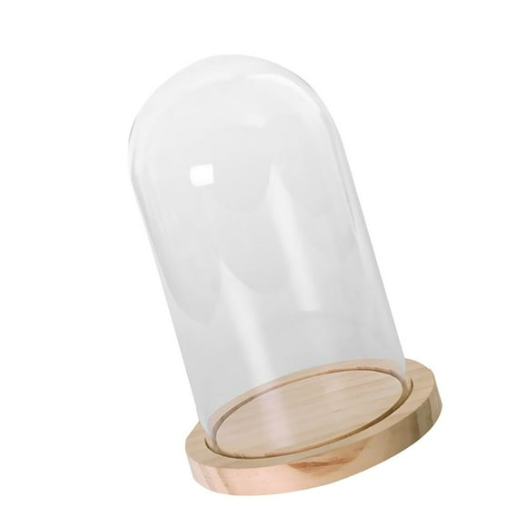 DOLITY Glass Dome Display Bell Jar Cloche with Wooden Base Decorative Desktop Decor L