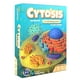 thumbnail image 1 of Juego de mesa Genius Games Cytosis Cell Biology Science, 1 of 7