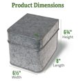 Galvanized Seed Saver Kit 8" L x 61/2" W x 63/4" H Steel Box Keeps