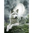 thumbnail image 1 of Pintura de diamante con diamantes de imitación 5D, hecha a mano, lobo, 30x40cm, para decoración del hogar, pintura de diamante completa, 1 of 4