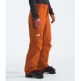thumbnail image 2 of Pantalón THE NORTH FACE Freedom Insulated para hombre, talla S Regular, 2 of 6