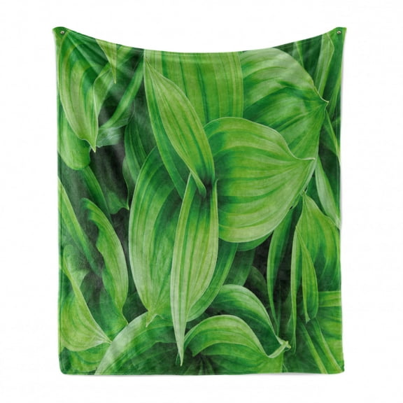 Plant Soft Flannel Fleece Throw Blanket, Close-up Tropic Foliage Pattern Helleborus Leaves Natural Herbs Wildflowers, Cozy Plush for Indoor and Outdoor Use, 60" x 80", Lime Green, by Ambesonne