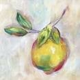 thumbnail image 2 of Nan 15x15 White Modern Wood Framed Museum Art Print Titled - Lemon Splash II, 2 of 4