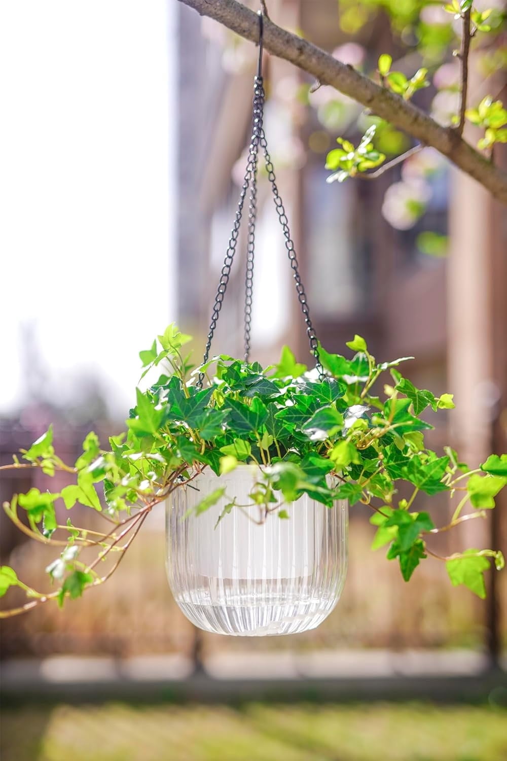 Clear Hanging Planter with Drainage Hole,Set of 3 Plastic Flower Pots,Double Layer Planter Design,Visible Hanging Baskets,for Flower, Succulent, Green Plant